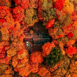 A Cold Breath of Fresh Air