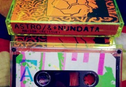 Split / Collaboration