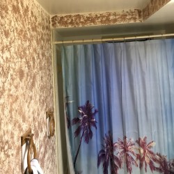 The Paradise Curtain