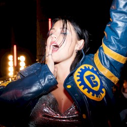 Vi ska aldrig gå hem