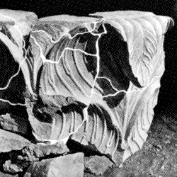 Instinctive Plagiarism