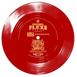 燒冥紙 (Sacrificial Fire)