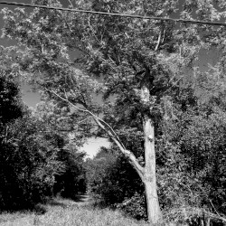 Rough Demos (Jan - March 2016)