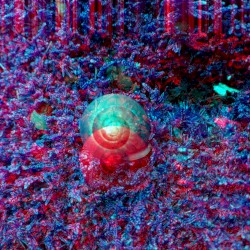 Big Grey Sun Radio 2020/09/12