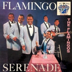 Flamingo Serenade