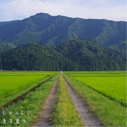 お中元E.P.