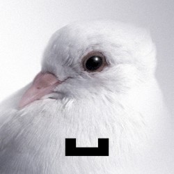 █▄▄█