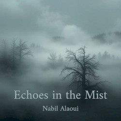 Echoes in the Mist