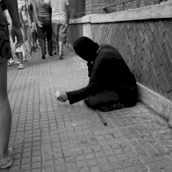 Shallow Waters Distant Minds