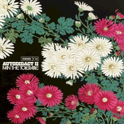 Autodidact II