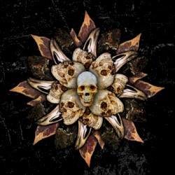 Head First Into The Fire box set