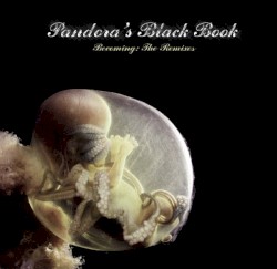 Becoming: The Remixes