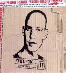משקל הדירה