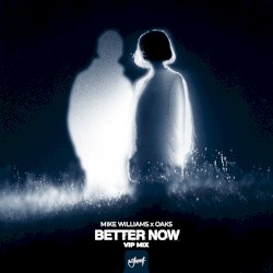 Better Now (VIP mix)