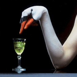 Dang (acapella & instrumental)