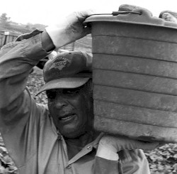 The Guestworker (Original Soundtrack)