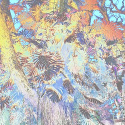 WILHELMINA Remix Pack Number One