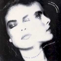 Only Dreaming (Wide Awake)