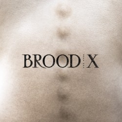 Brood X