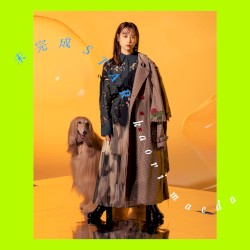 未完成STAR