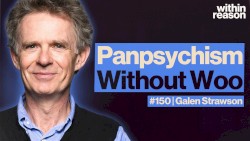 Within Reason #150, “Materialist AND Panpsychism are True”