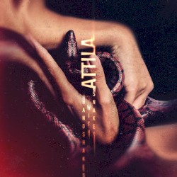 Handshakes With Snakes