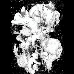Wet Petals