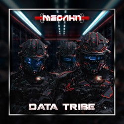 Data Tribe
