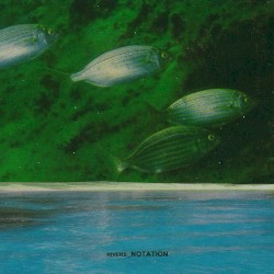 Rivers