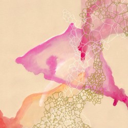 Library B/W I Wanna Be a Witch