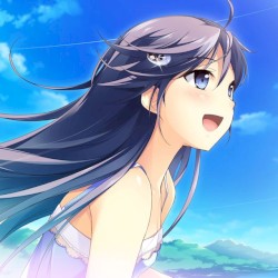 この大空に、翼をひろげて コンプリートサウンドトラック「Perfect Wing」