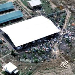 Plainfield / Monarch of Scum