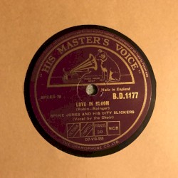 Love in Bloom / Blowing Bubble Gum