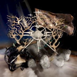 Journey into my inner forest