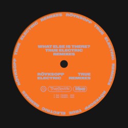 What Else Is There? (True Electric Remixes)