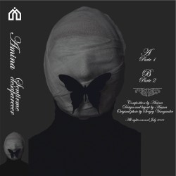 Sentirme desaparecer