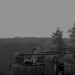 No Goodbye (Live Techno Bootleg)