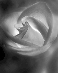 In the Frame of an Old Skyline Waltz, We Shall Take a Walk Through the Ruins of America, as Light Starts Creeping Around Into a Vast Field of Dust and Dirt