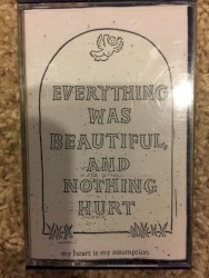 Everything Was Beautiful And Nothing Hurt