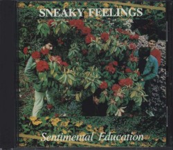 Sentimental Education