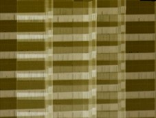 Her Sophisticated Yellow Ripples