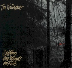Setting the Woods on Fire