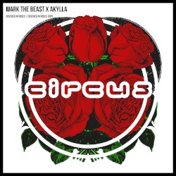 Covered in Roses / Covered in Roses (VIP)