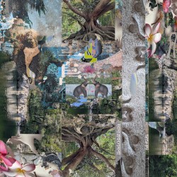 Samajavara / Unshakable Dub