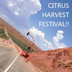 柑橘類収穫記念祭