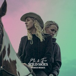 Wild Skies (Marsh remix)