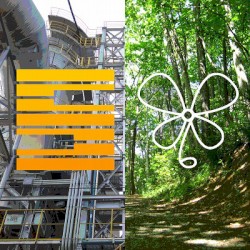 Landscape in the Memory