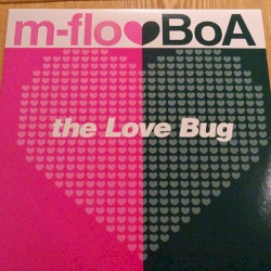 the Love Bug