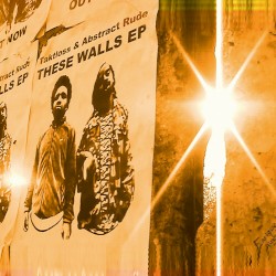 These Walls EP