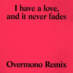 I Have a Love (Overmono remix)
